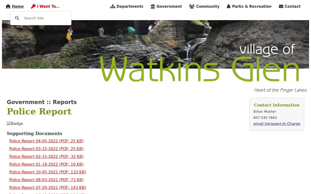 Watkins Glen criminal records police activity report archive